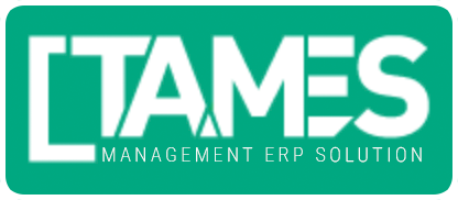 TA.MES | Management ERP Solution _ One Platform. Complete Management.